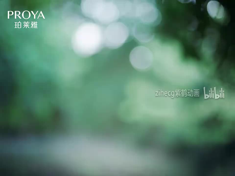 中国广告影片金狮奖2024(17)