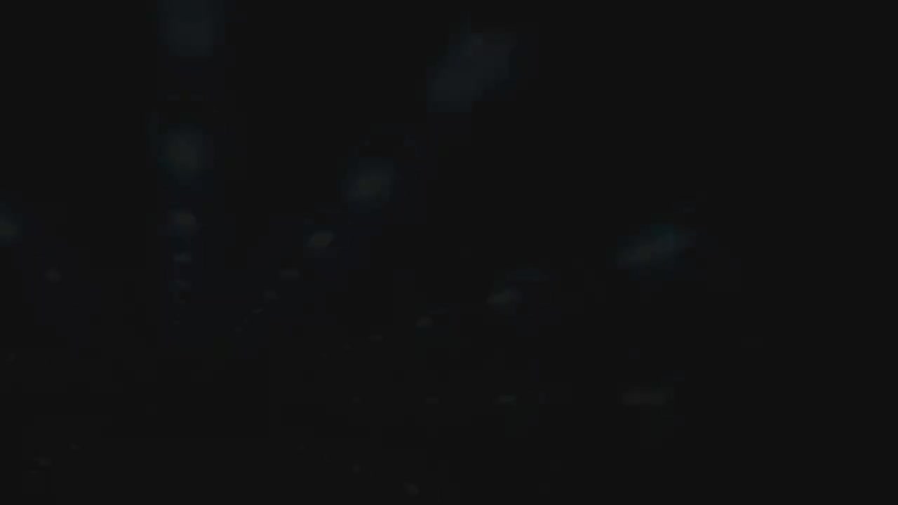中期OP [14-32集]