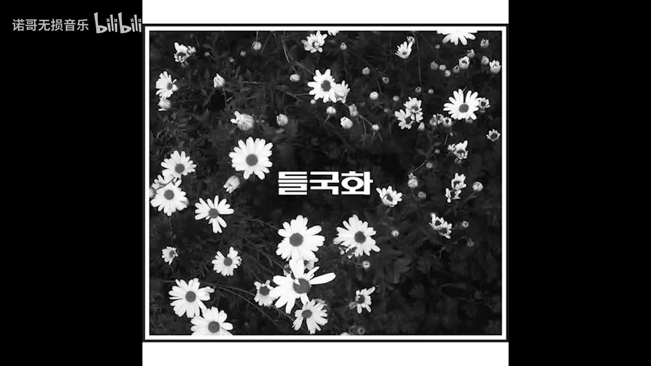 野菊花 - 你不要担心