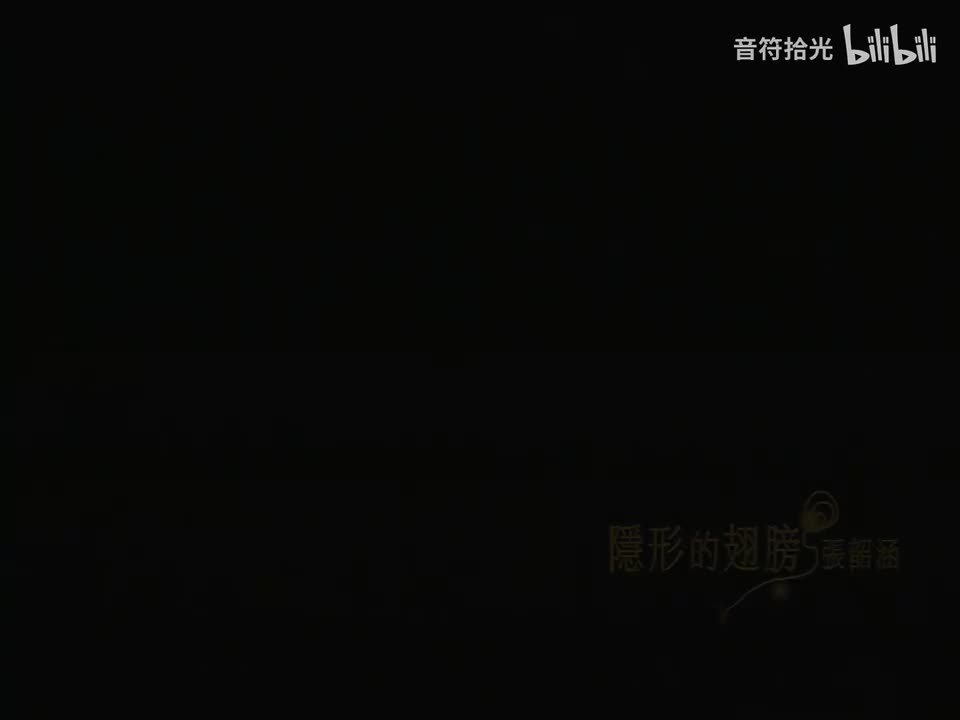 隐形的翅膀 - 张韶涵