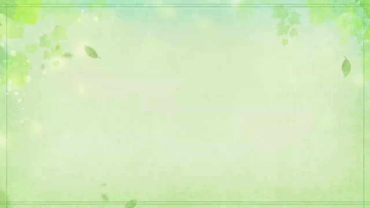 250511 一镜到底 HANDS UP