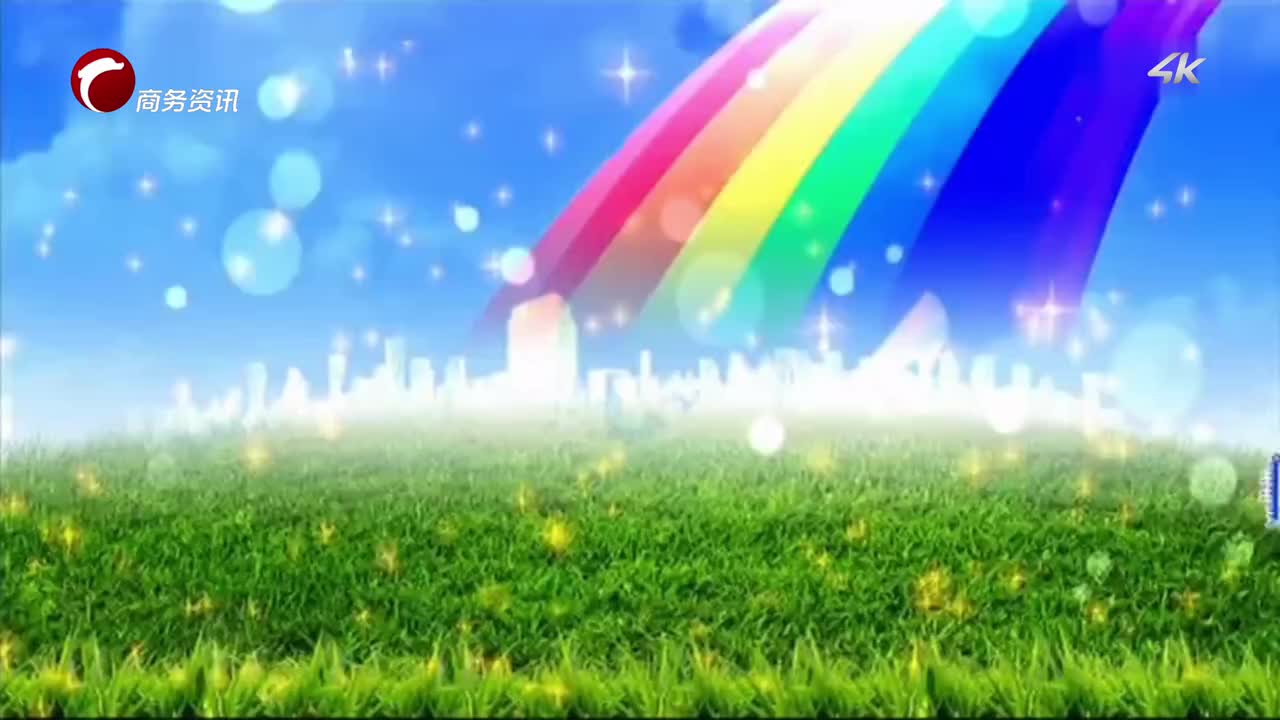 电视播出版本