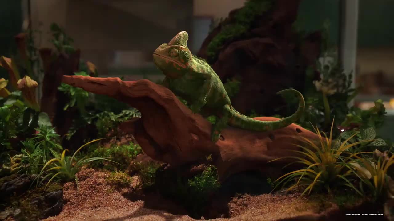 华为 Vision 智慧屏 5 SE 2025 广告