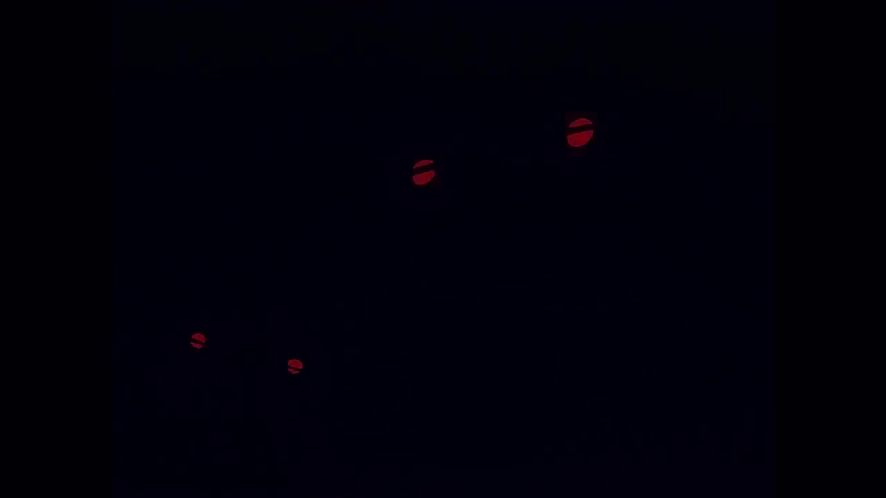 02：香贯花来袭