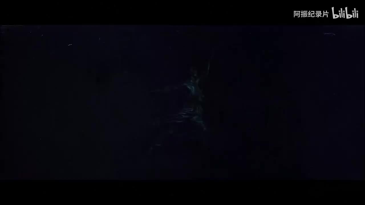 莫斯科保卫战2普通话2