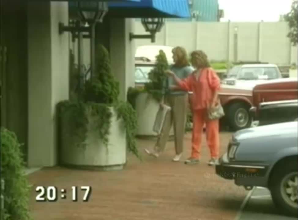 17-《洪恩环境英语》