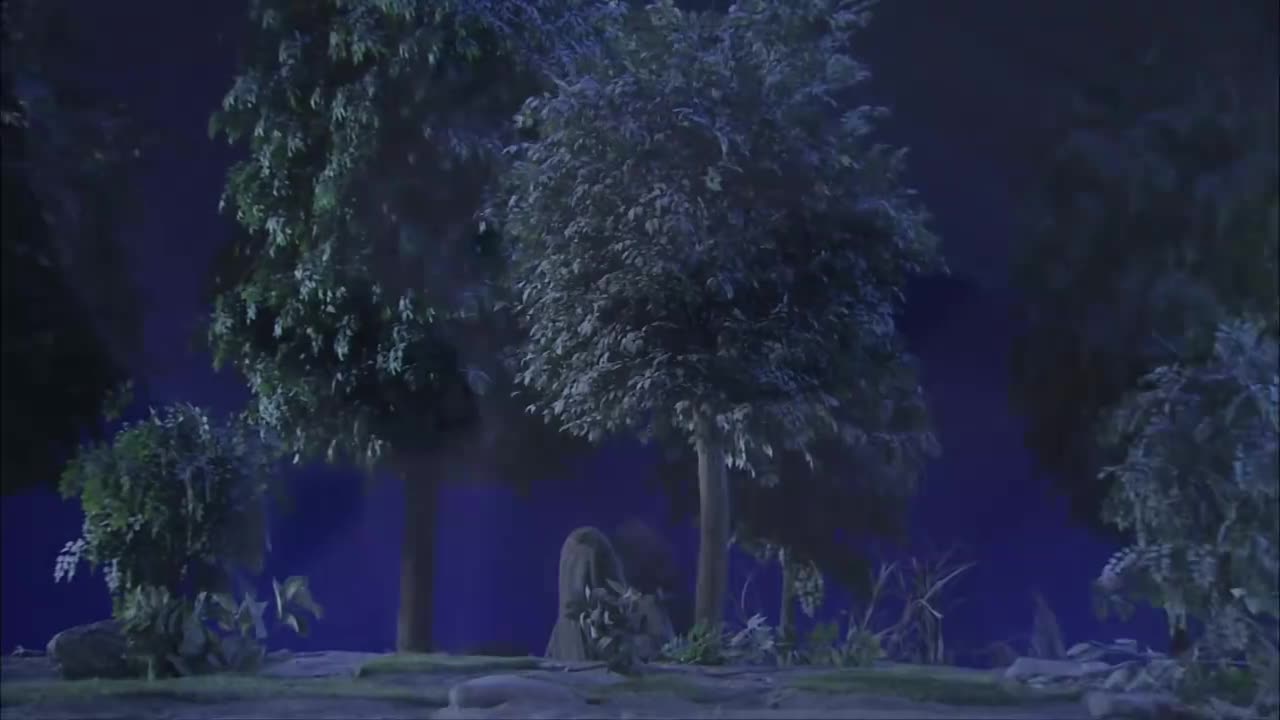 第二十九集（2）