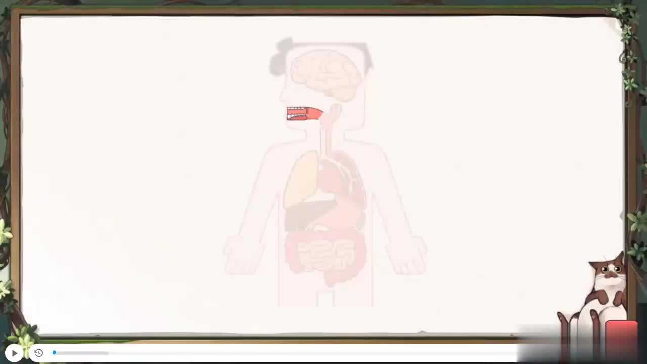 3.小实验：饼干棒在嘴里的变化