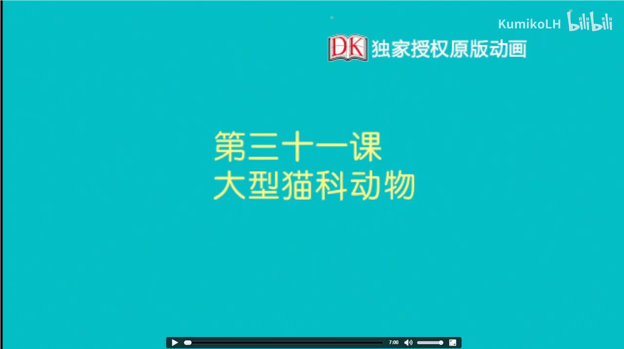 31.大型猫科动物