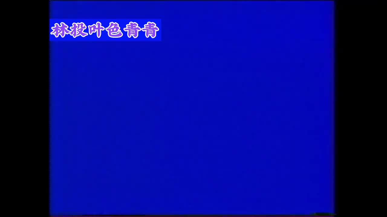 是你伤我的心（吉鲁巴）