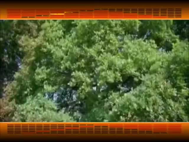 第102集_《易经的智慧》卦序41_损卦_为道日损