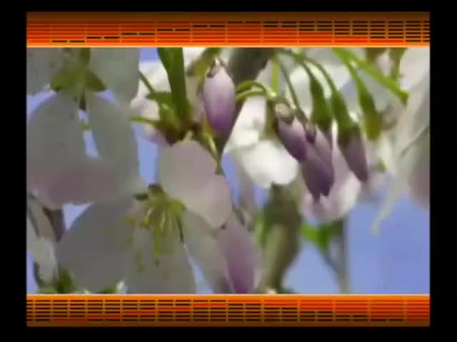 第63集_《易经的智慧》卦序24_复卦_剥极而复