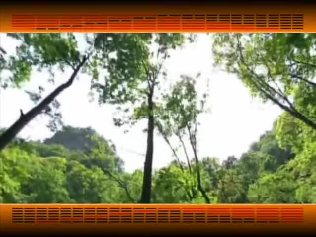 第139集_《易经的智慧》卦序60_节卦_调节得宜