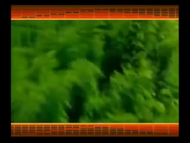 第66集_《易经的智慧》卦序25_无妄卦_避祸成事