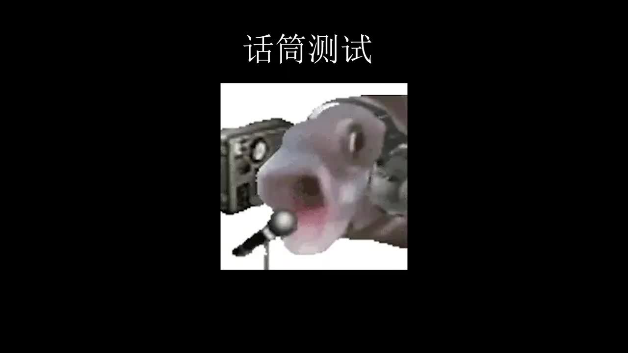 话筒测试