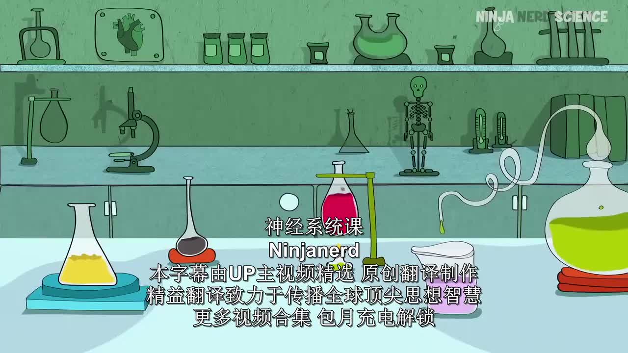 (52)Neurology _ Trigeminal Nerve_ Cranial Nerve V_压制版