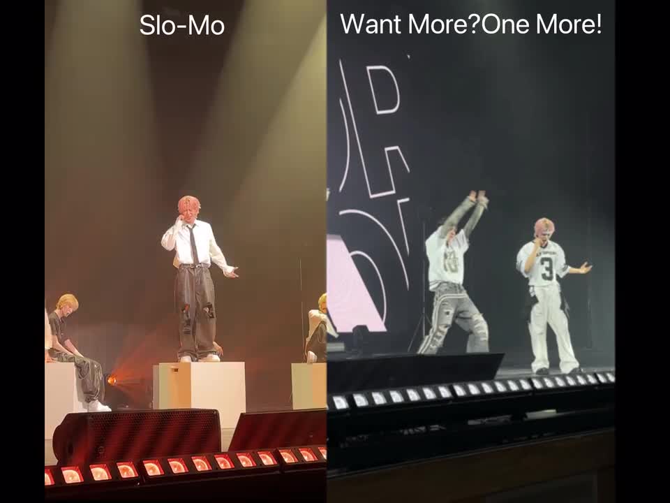 世界上第一只飙高音很厉害的企鹅！