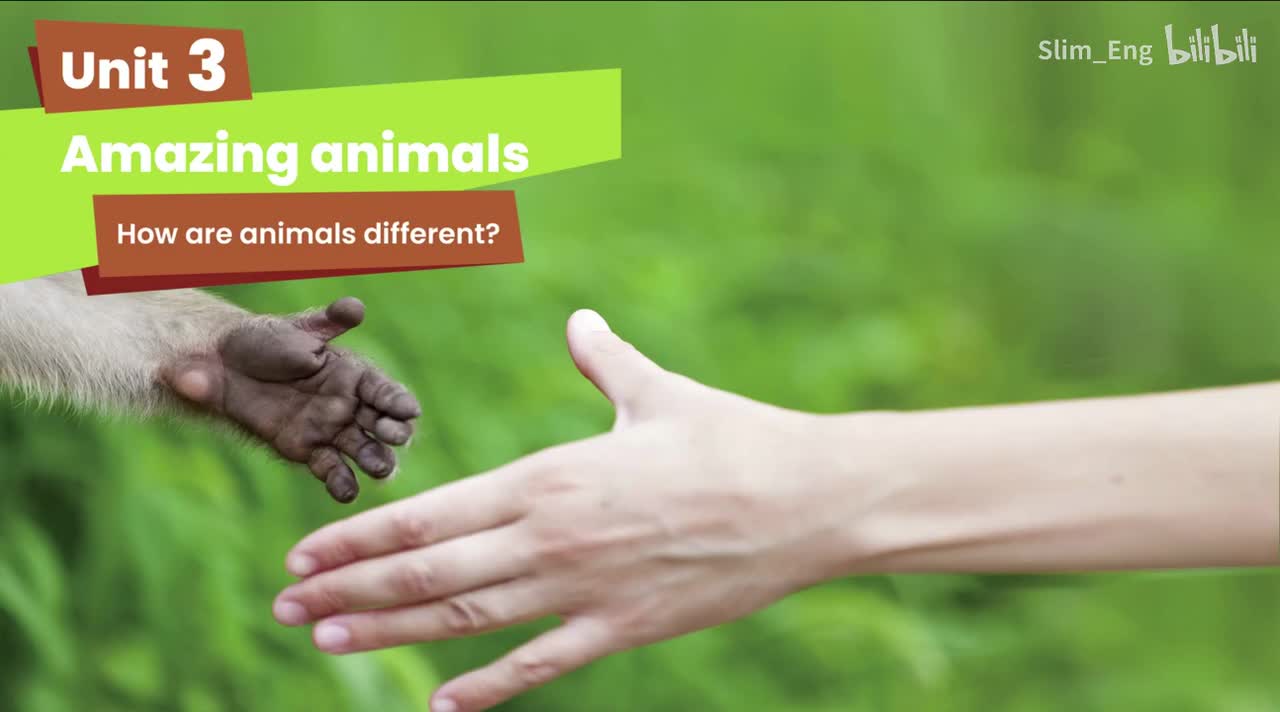 U3 P26 How are animals different（动画）