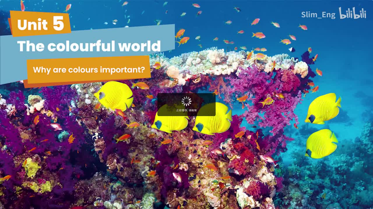 U5 P50 Why are colours important（动画）