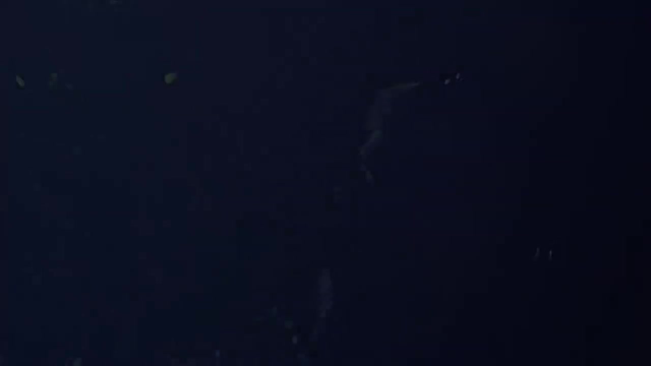 36 苏醒的记忆 上