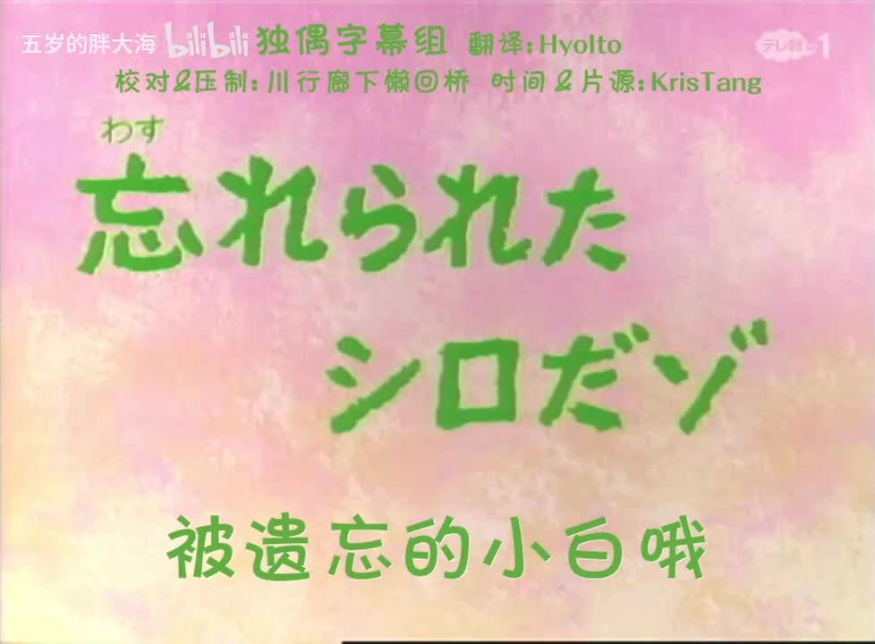 17.3被遗忘的小白