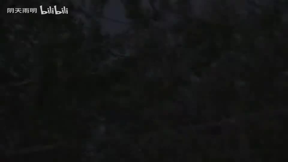 民间小调《老妈妈爬墙头》04 荆献鼎 张丽 田明金 曹四臣 孟献礼 薛小香 张芳 刘梅