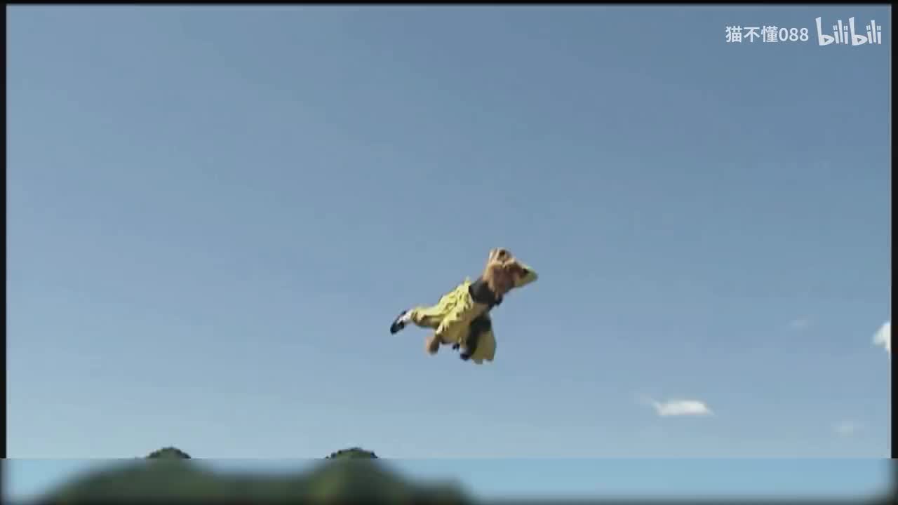 28、黑水河打假