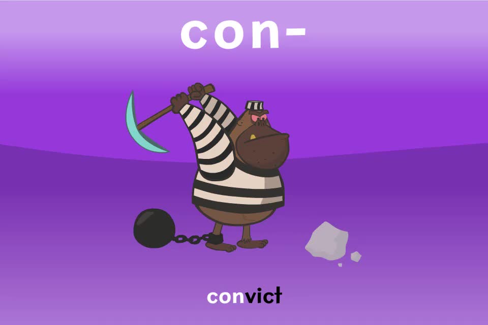 【常见前缀04】con-