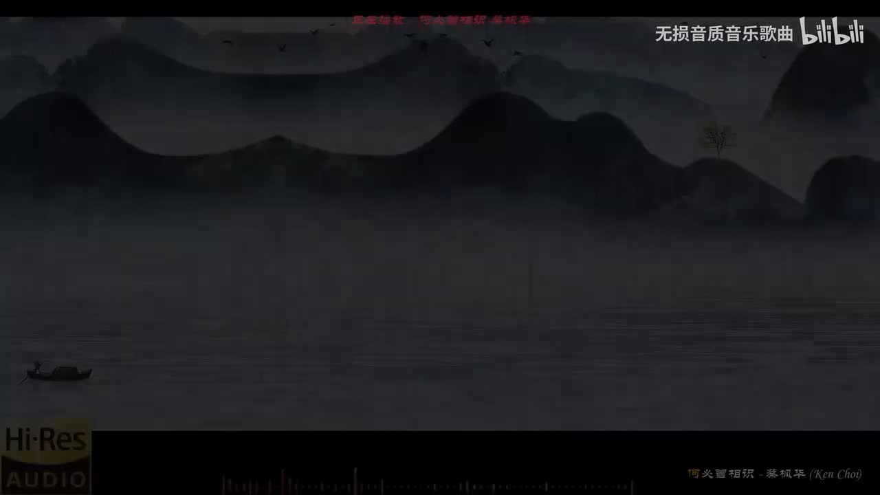 025. 何必曾相识-蔡枫华