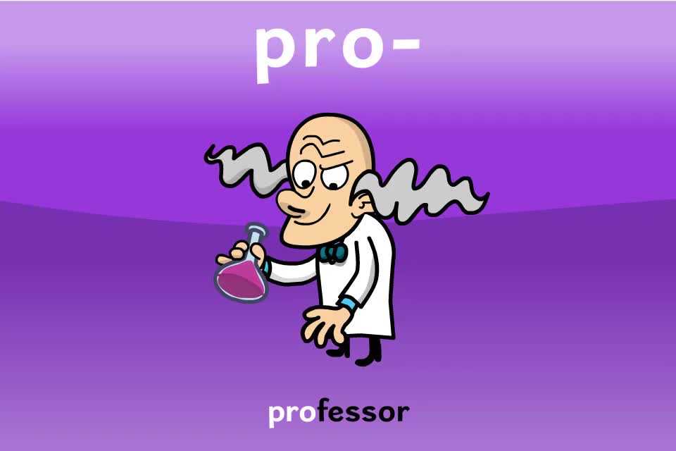 【常见前缀12】pro-