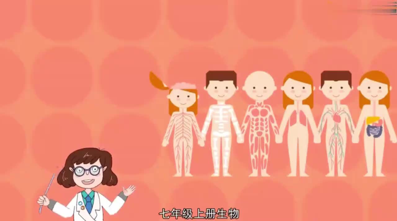 七年级（上）02、1.1.2调查周边环境中的生物