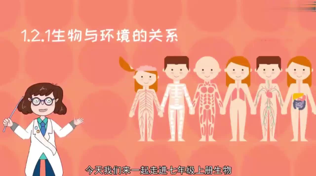 七年级（上）03、1.2.1 生物与环境的关系