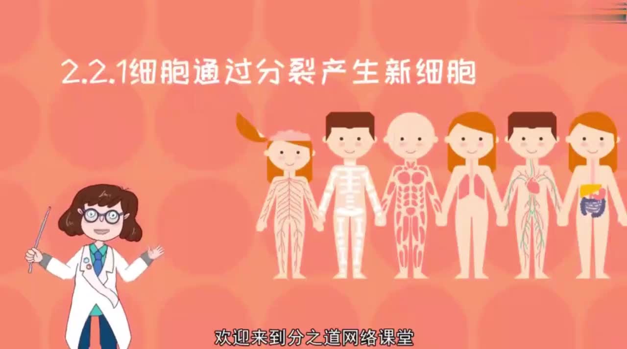 七年级（上）10、2.2.1细胞通过分裂产生新细胞
