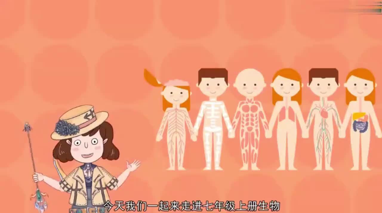 七年级（上）07、2.1.2植物细胞