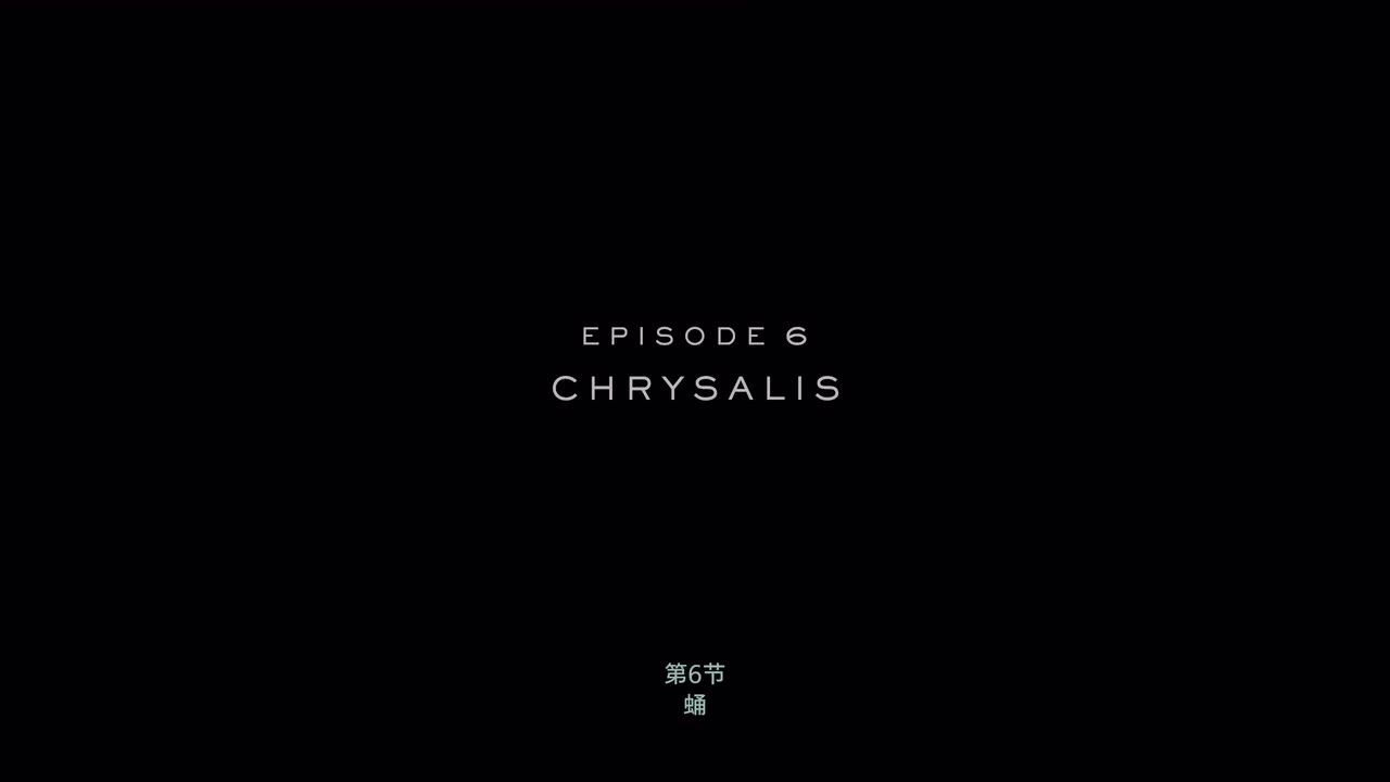 第六章：蛹
