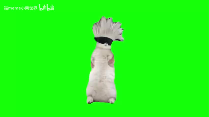 35.两条猫（有声）