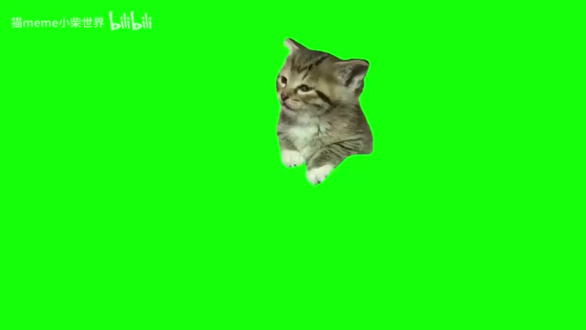 53.瞌睡猫猫（有声）