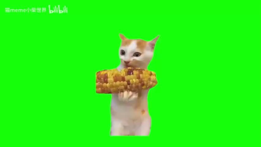 50.猫啃玉米（有声）