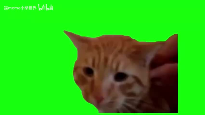 55.老吴猫（有声）