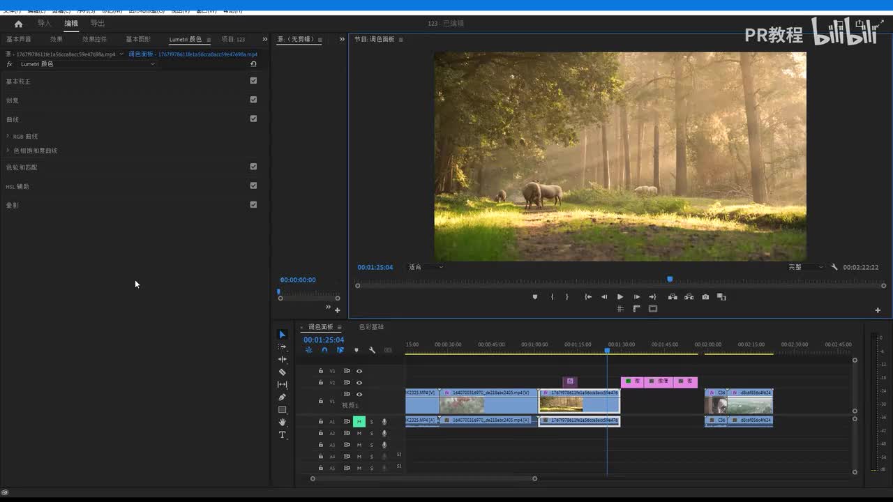 第38课 lumetri-色轮与匹配