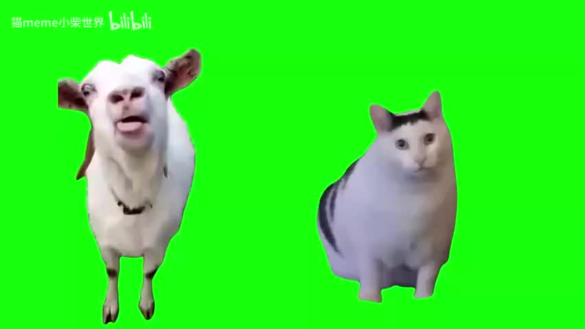 44.山羊与huh猫（合成）