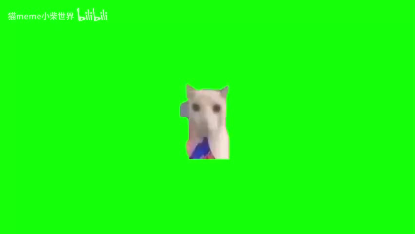 76.零食袋猫咪（有声）