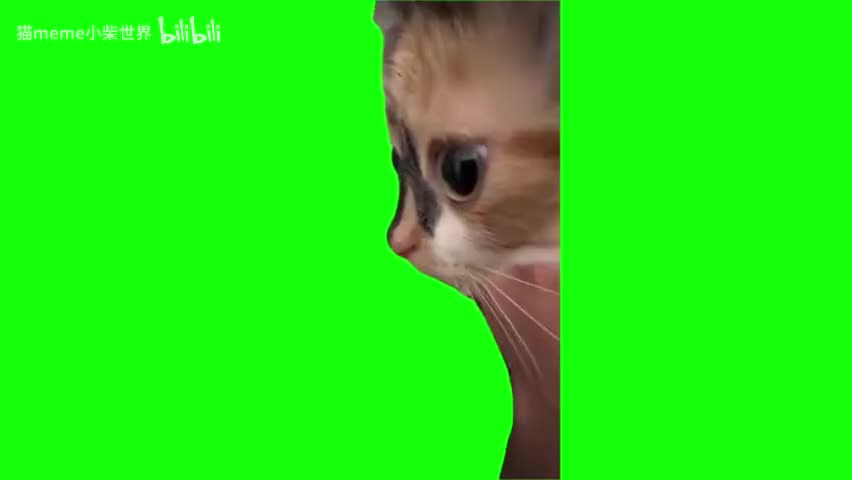 77.半脸猫（有声）