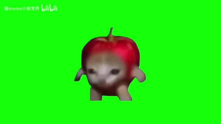 21.苹果猫跑步（有声）