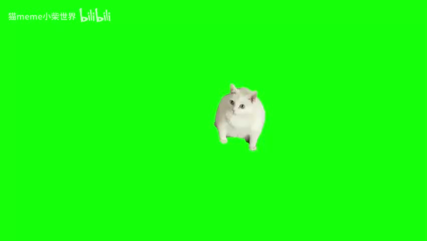 65.yue猫（有声）