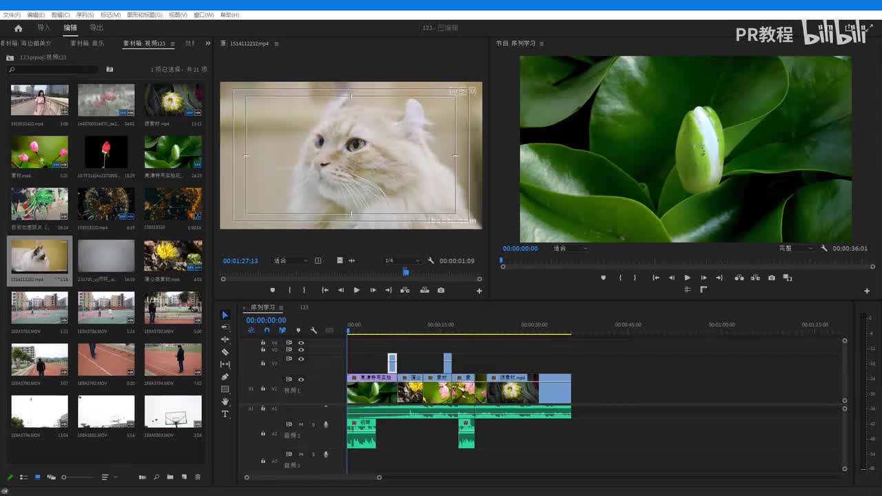 第16课 剃刀工具和向前向后工具