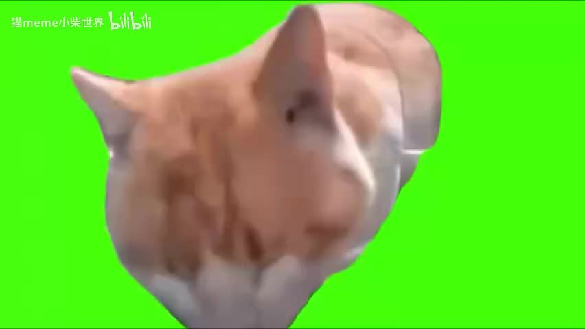 85.吃饭猫（有声）