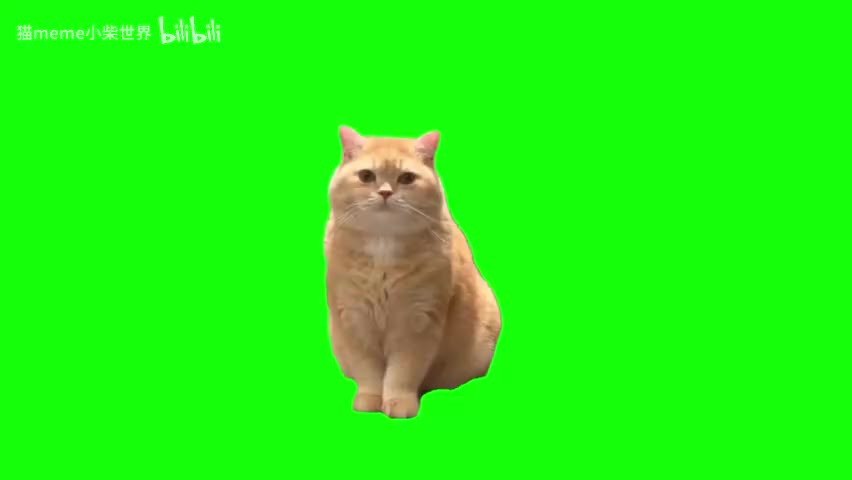 89.哈欠猫（有声）