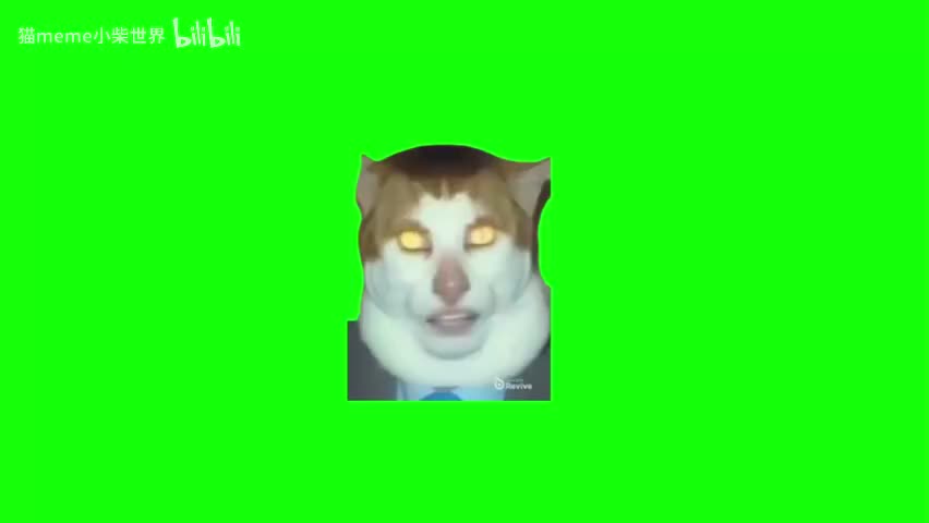 39.怪叫唱歌猫（有声）