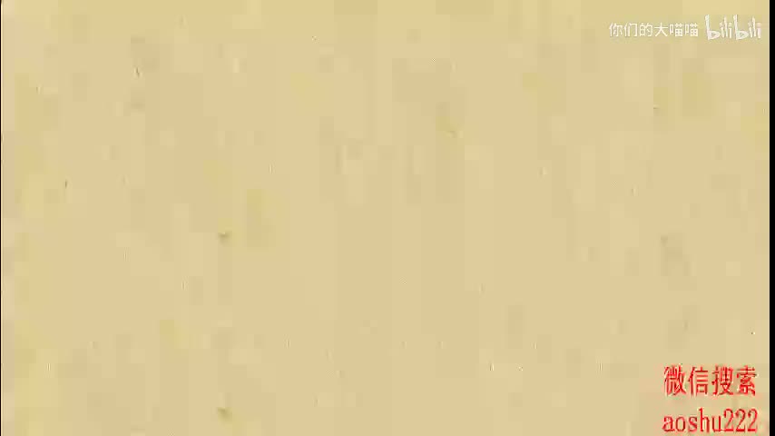 13. 二次函数图象的变换